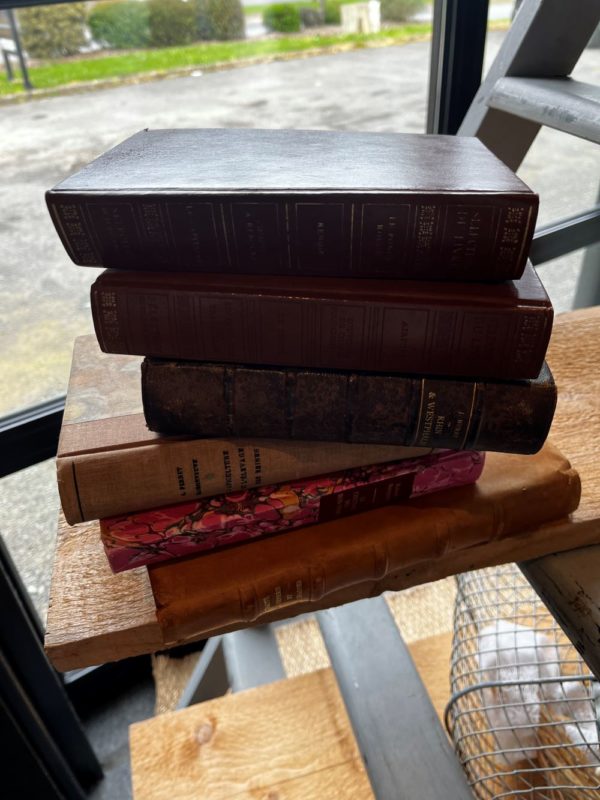 Lot de Livres
